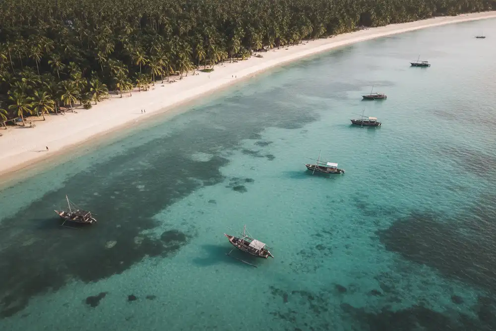 Aerial view of Diani Beach white sand coastline with turquoise lagoon and coconut palms